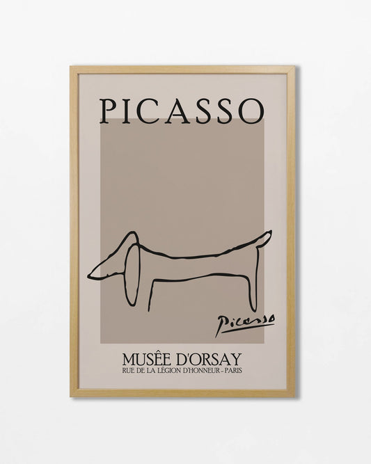 Picasso