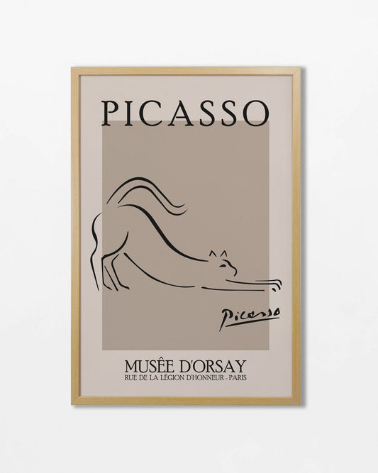 Picasso