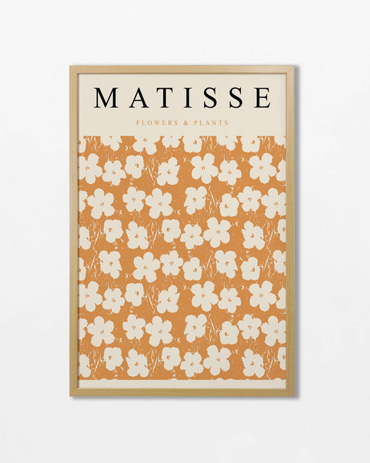 Matisse N.01
