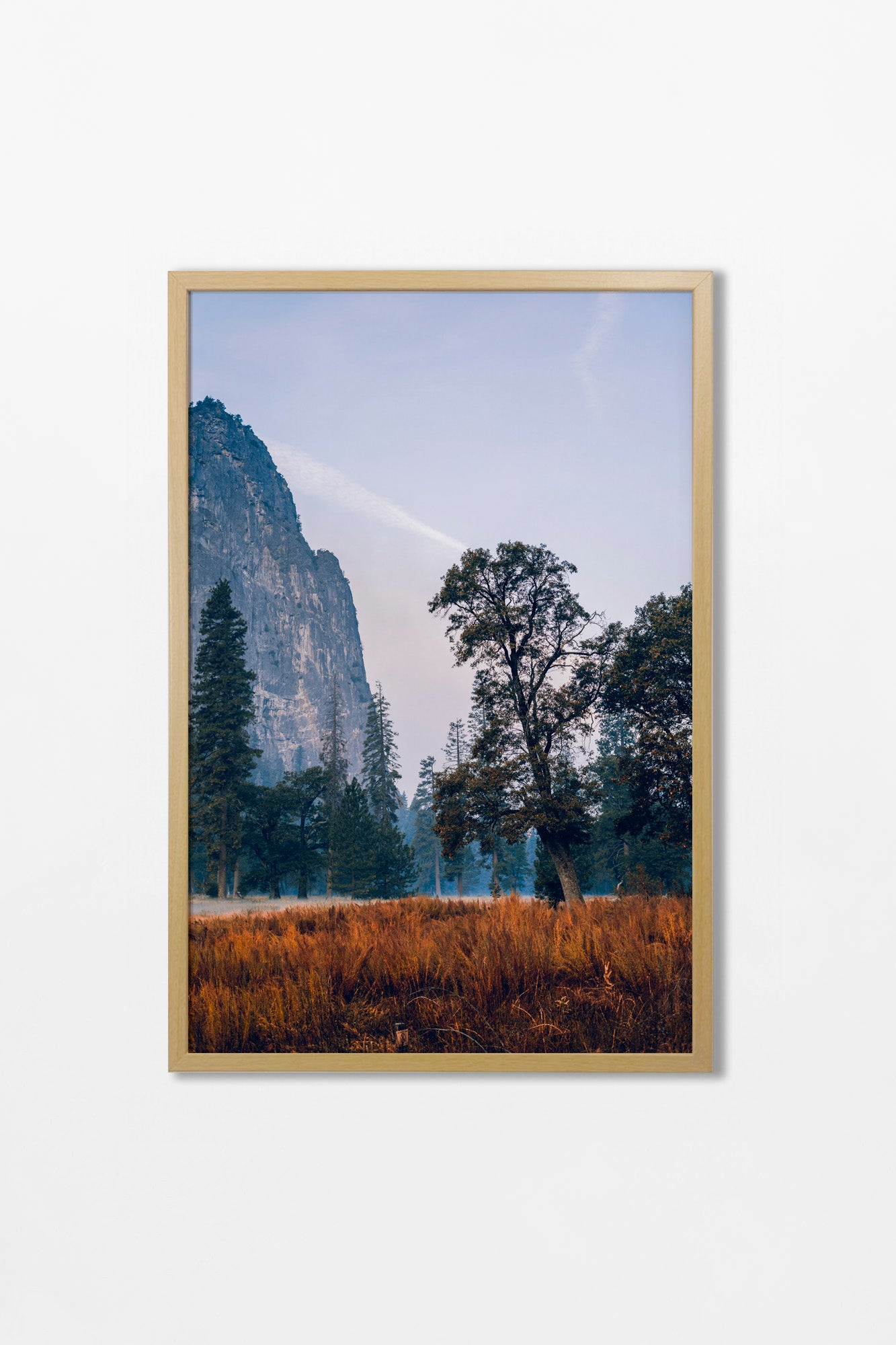 Nature