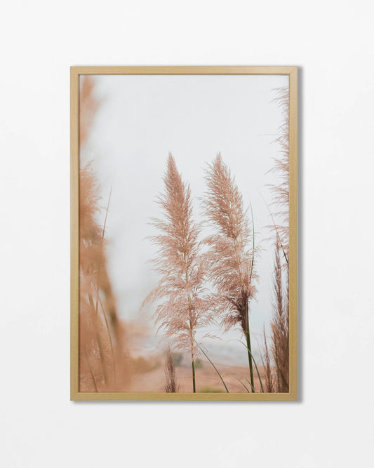 Colección Botánicos