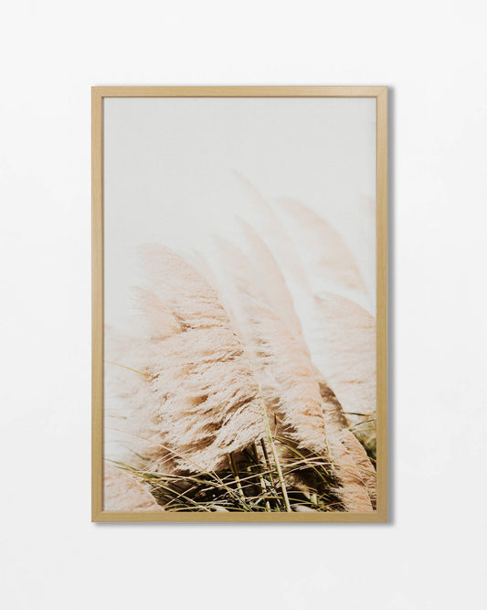 Colección Botánicos