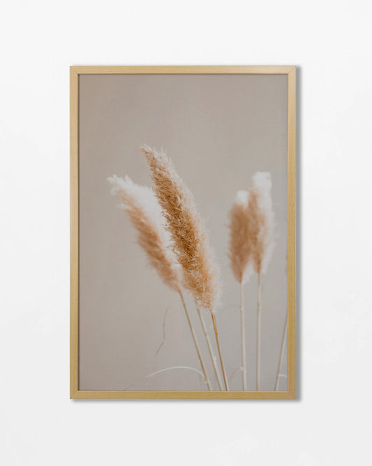 Colección Botánicos