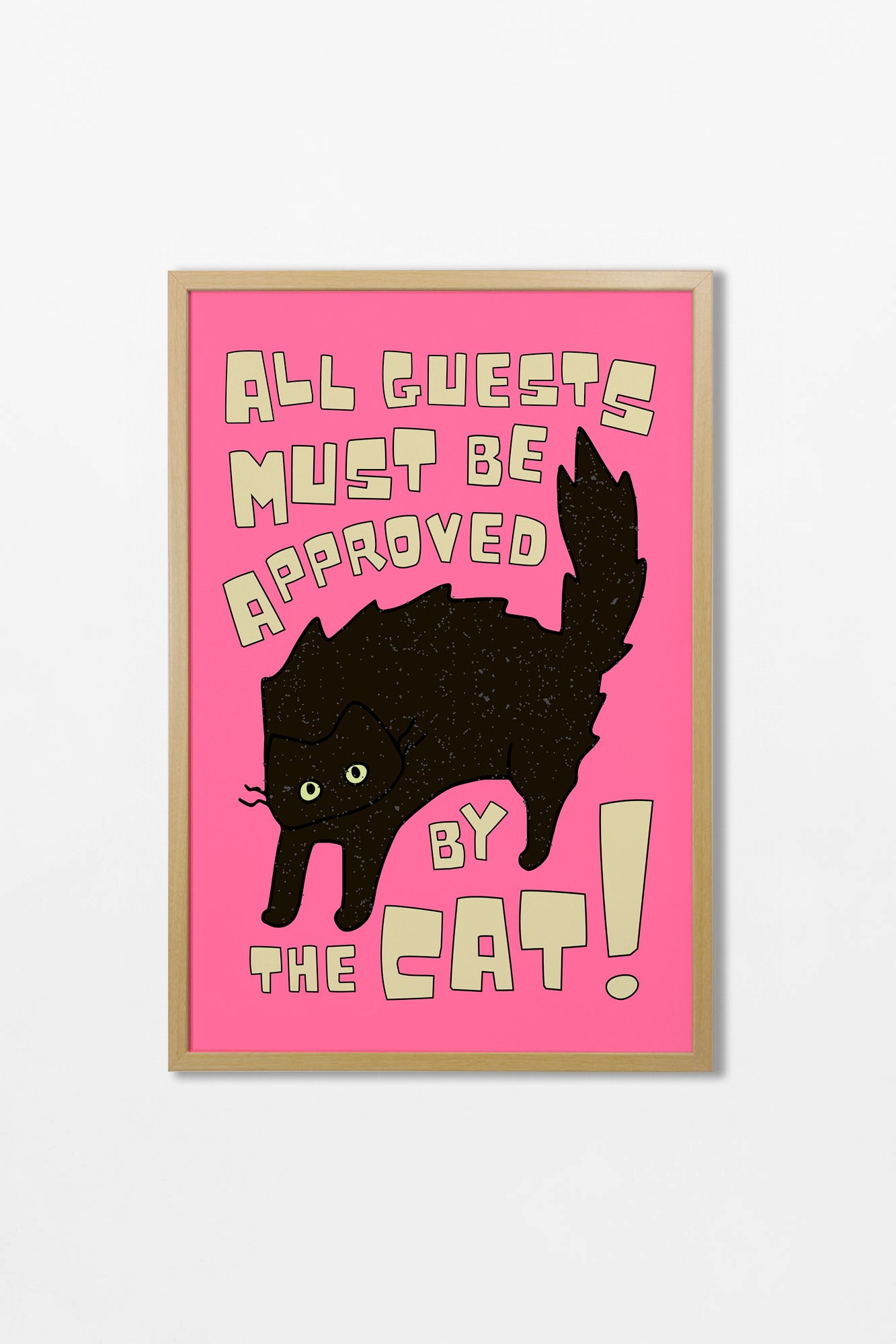 Cats N.03