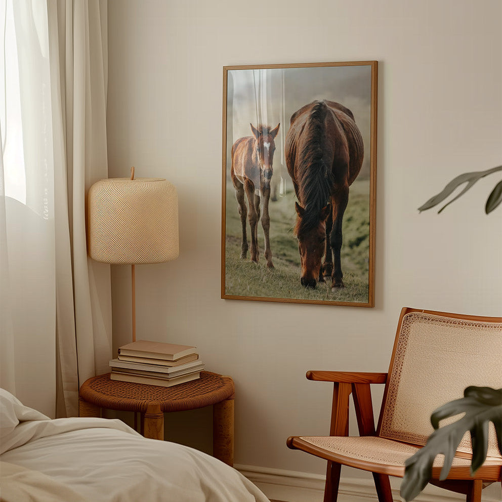 Colección Caballos