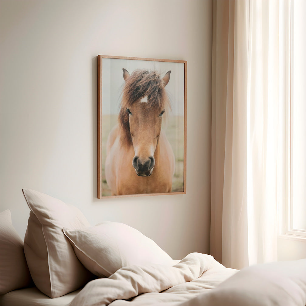 Colección Caballos