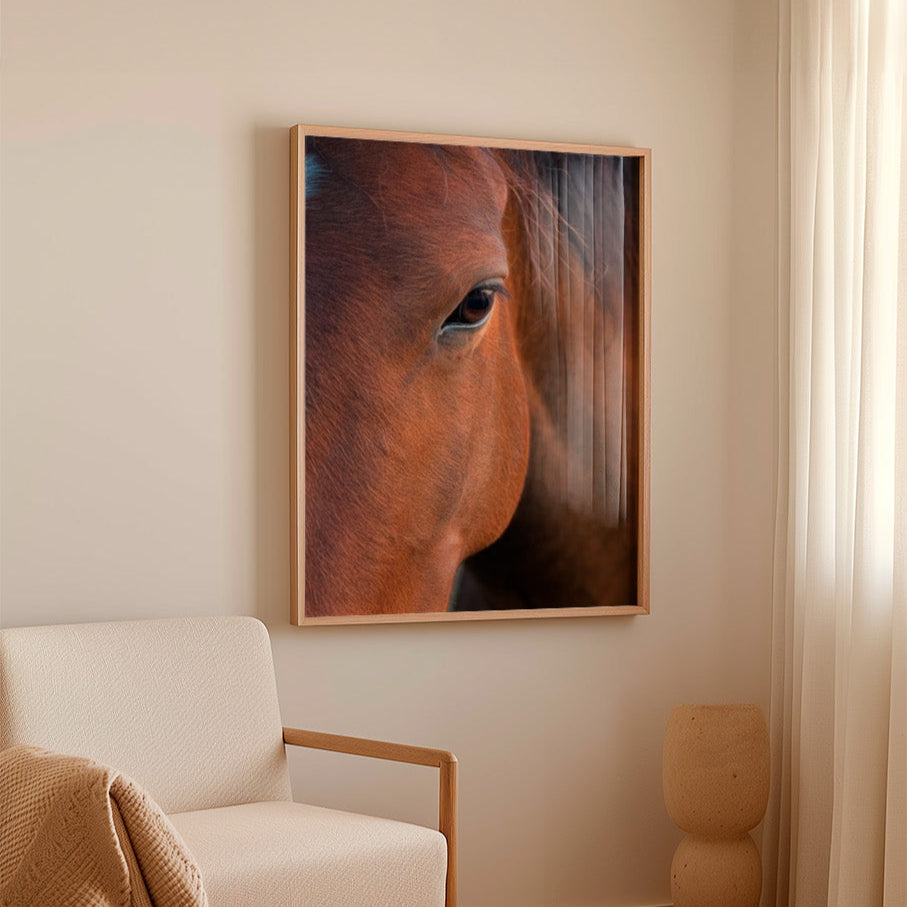 Colección Caballos