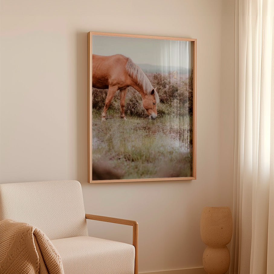 Colección Caballos