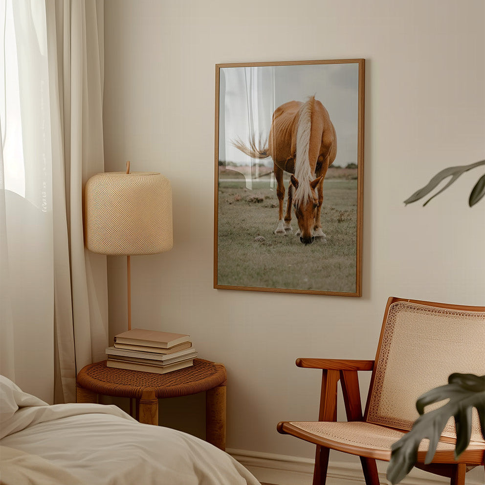 Colección Caballos