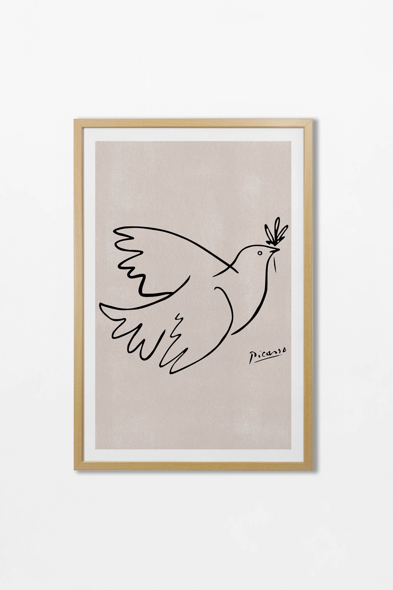 Picasso