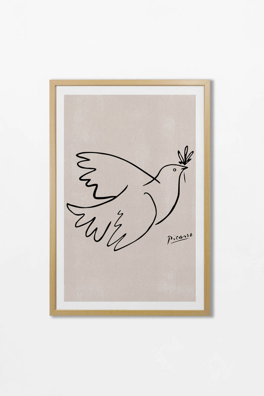 Picasso