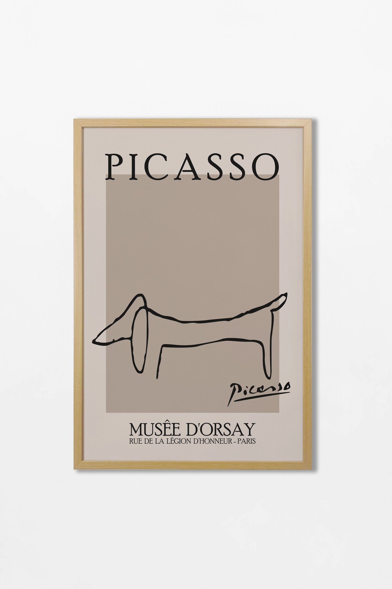 Picasso