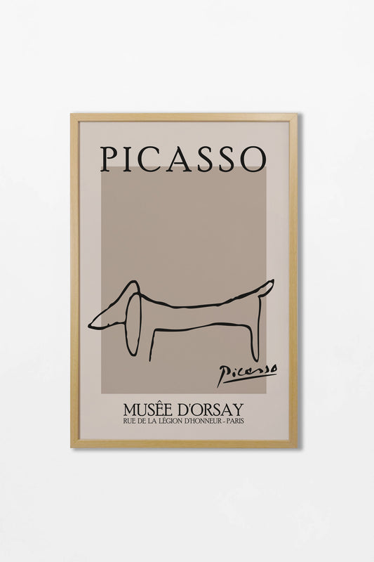 Picasso
