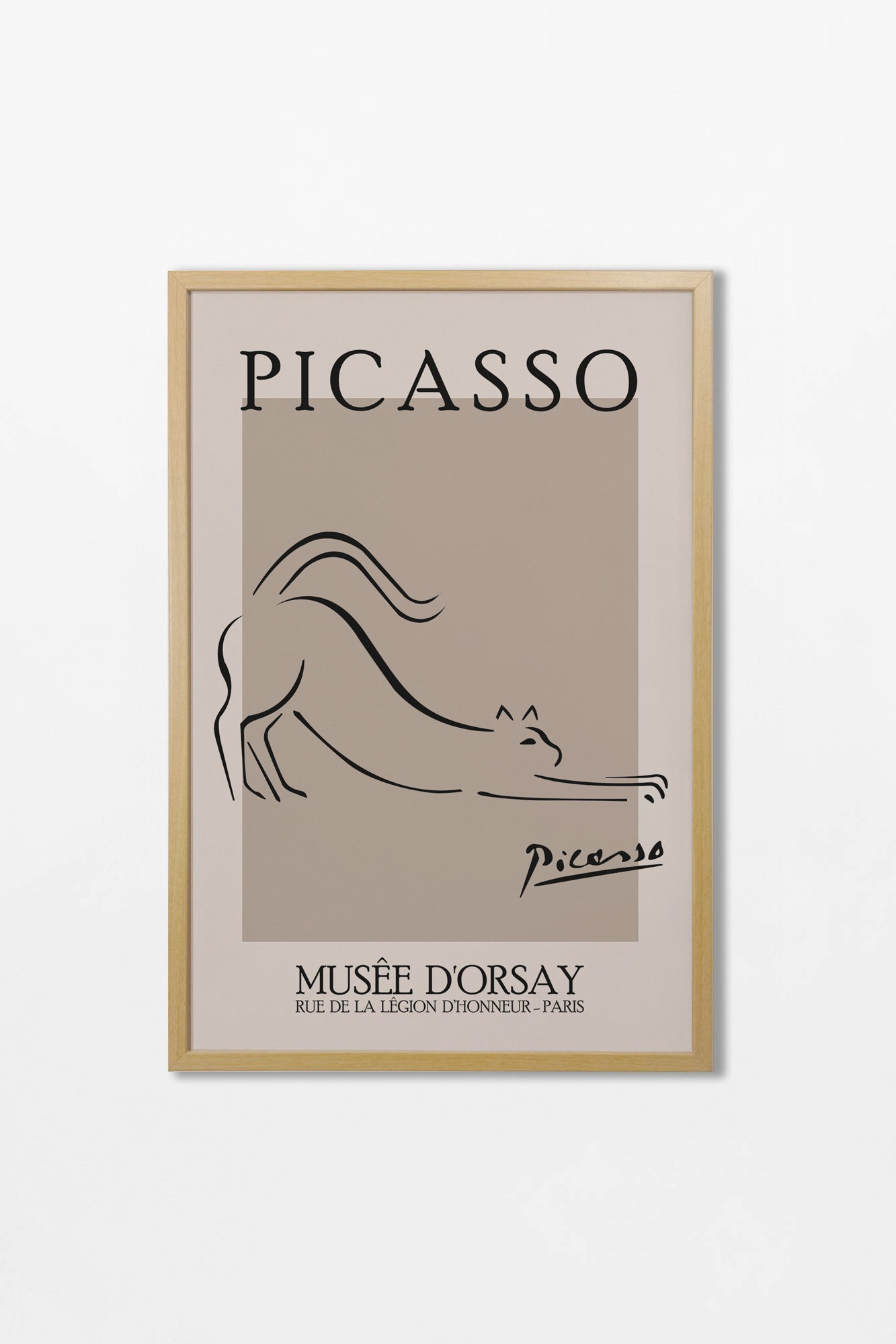 Picasso