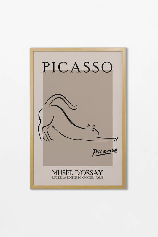 Picasso