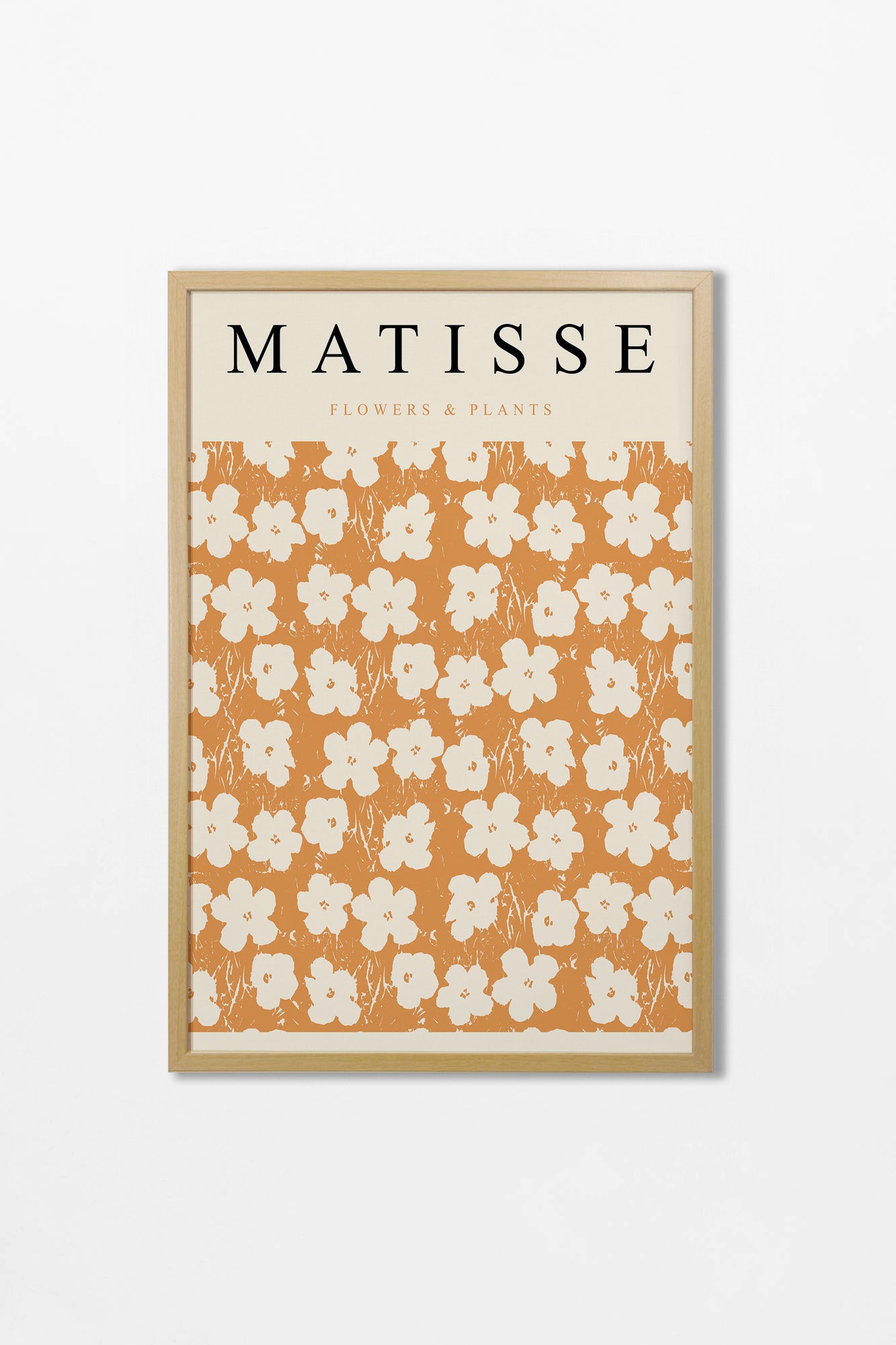 Matisse N.01