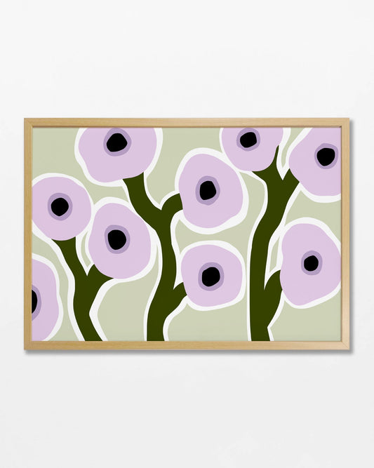 Purple Poppies