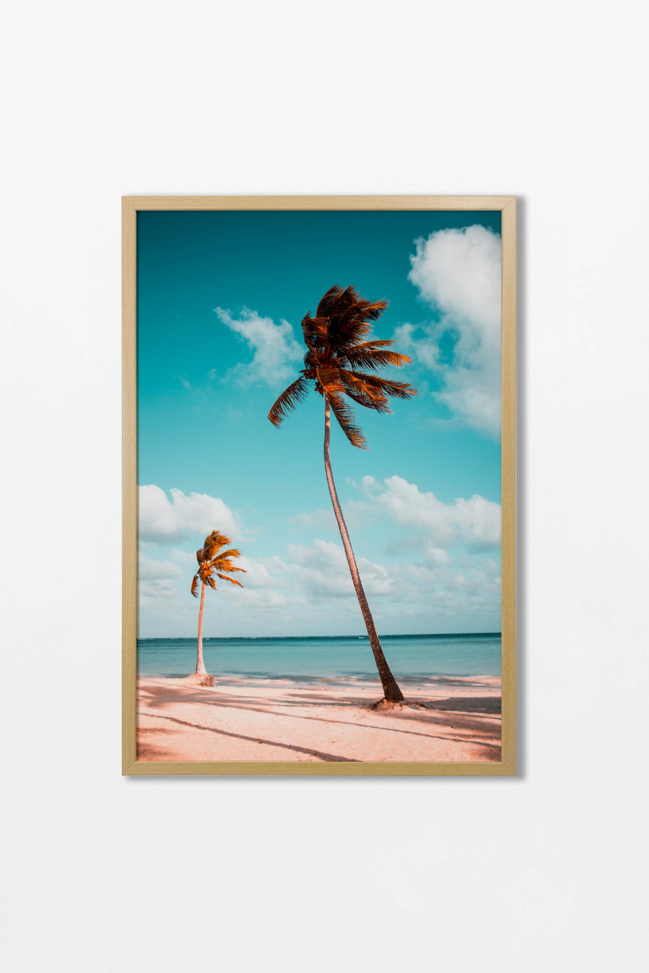 Paraiso