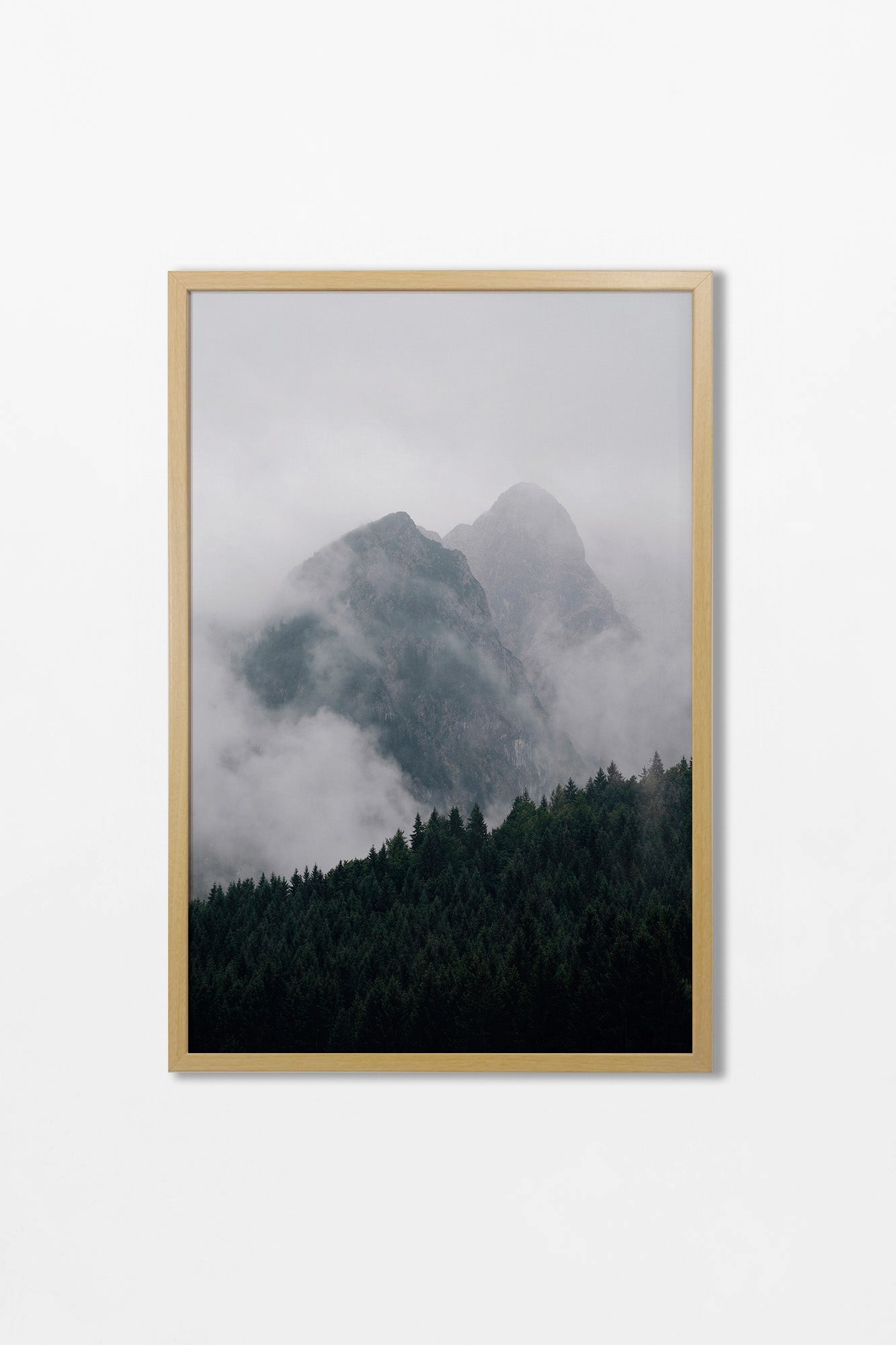 The Forest