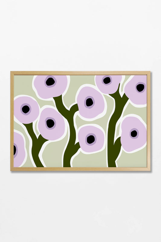 Purple Poppies