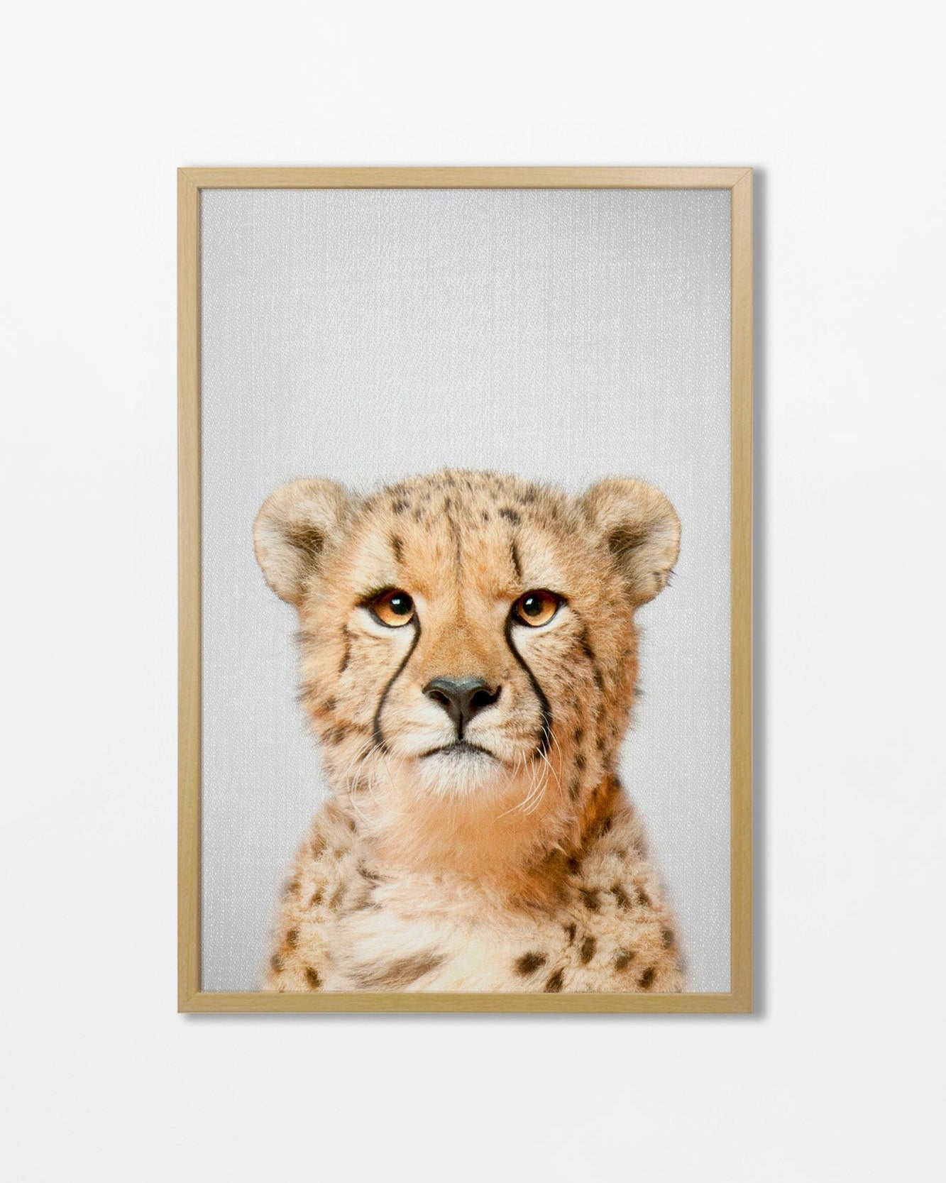 The Zoo